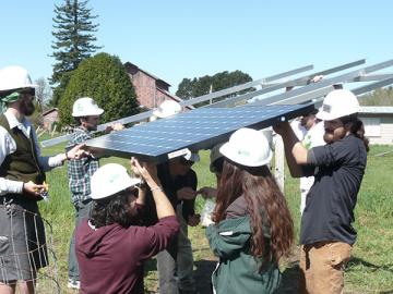 Residential Solar Array