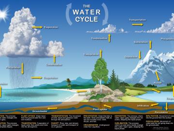 Water Cycle Diagram