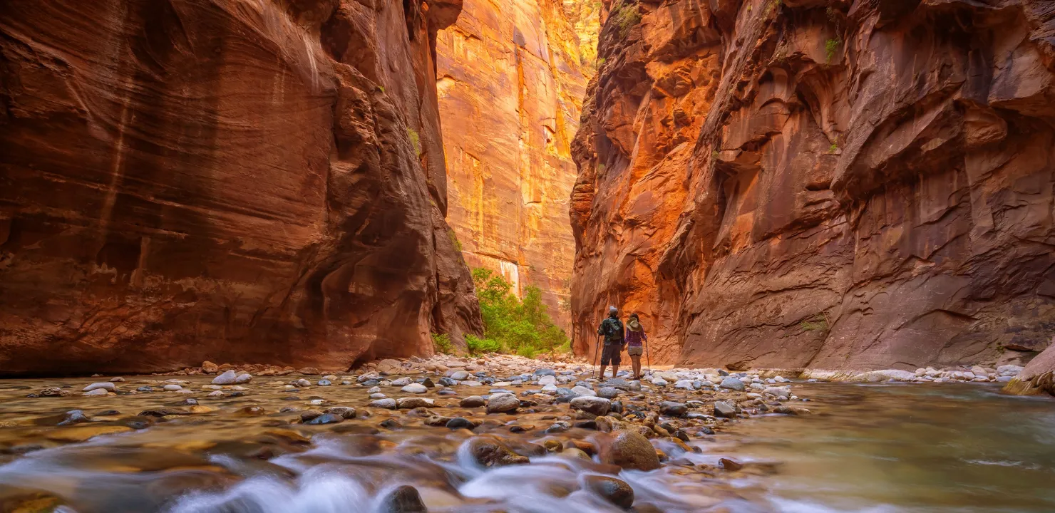 Amazing landscape of canyon in Zion National Park