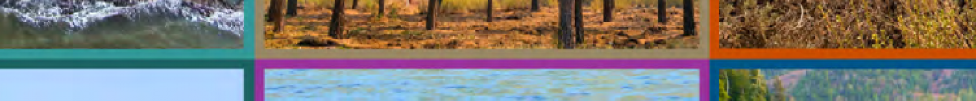 grid of images showing wetland, city, forest, and coastal environments