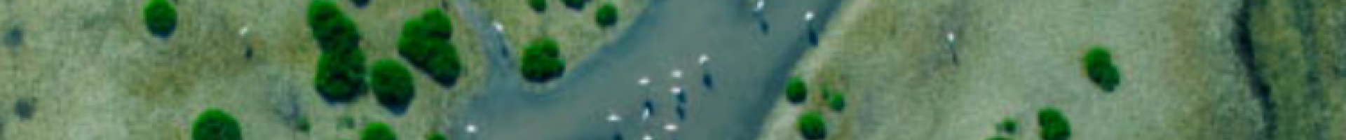 aerial image of river