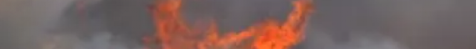shrubs burning