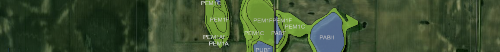 Screenshot from NWI Mapper