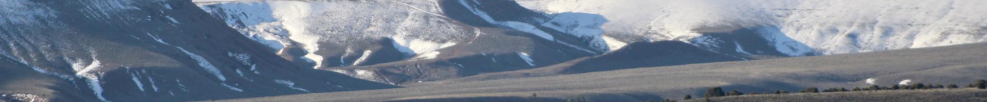 grassland with snowy mountains