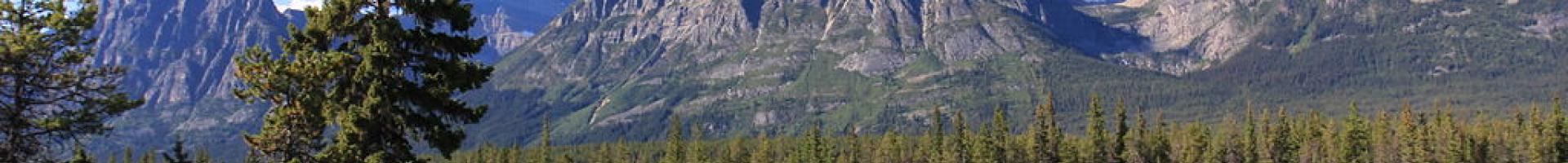 river with mountains and trees