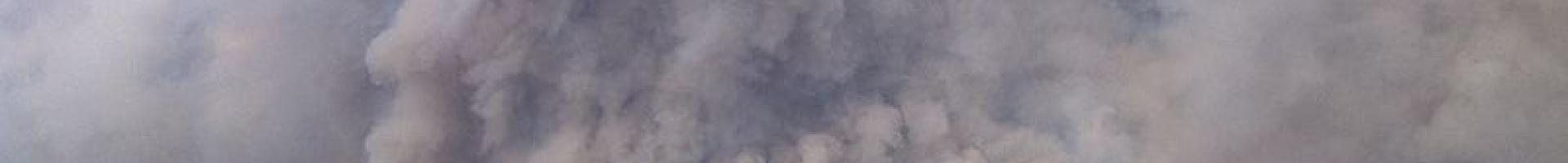smoke clouds over a forest