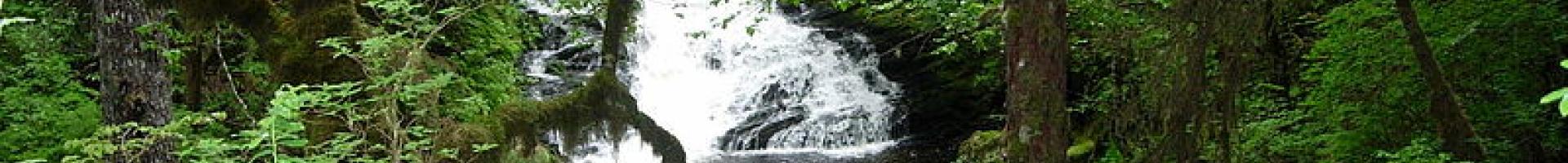 waterfall in forest