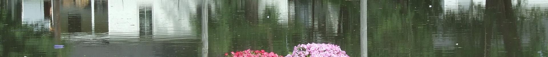 "Louisiana Welcomes You" sign nearly submerged in floodwater