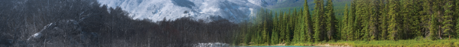 Snow capped mountain