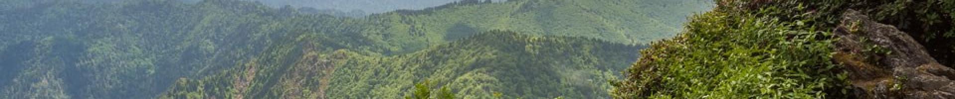 green mountain scenery