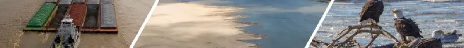 ""