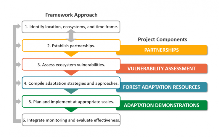 Flowchart outlining the CCRF framework process