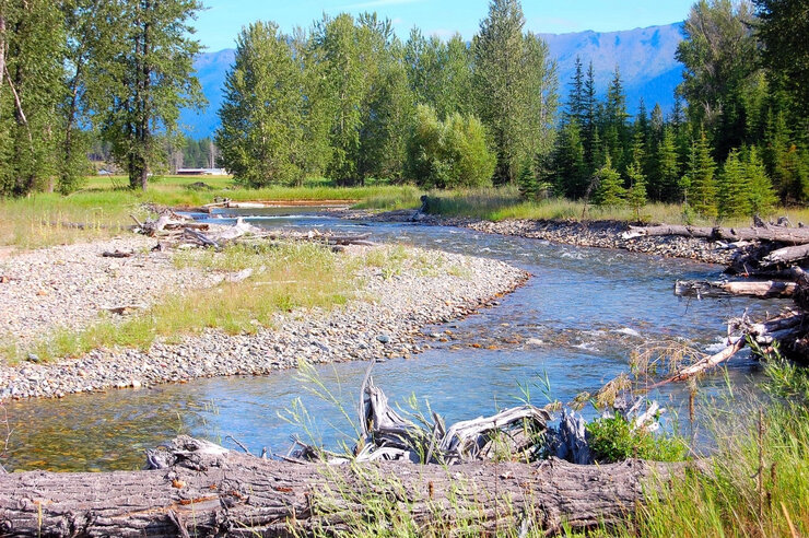 The Grave Creek restoration site in Montana
