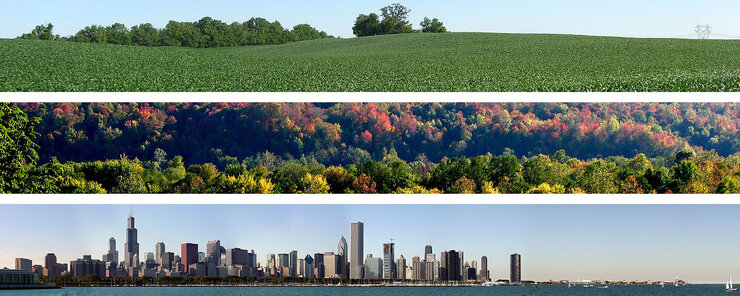 Scenes from the Midwest: Agriculture, Forests, Cities
