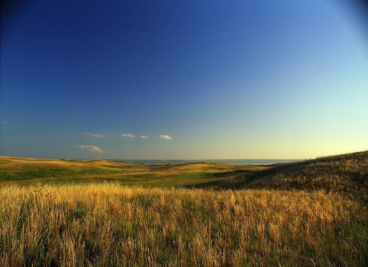 Native prairie in the Prairie Pothole Region of the Northern Great Plains