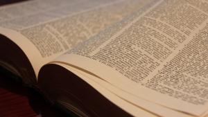 image of open book