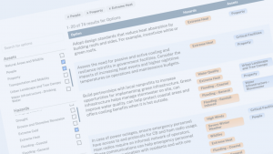 Screen capture of Toolkit Options Database