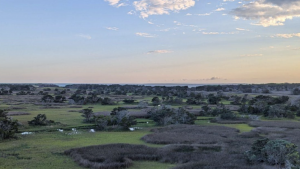 blue sky with clouds over a flat green landscape