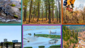 grid of images showing wetland, city, forest, and coastal environments