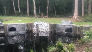 water control structure in pond