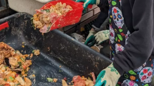 students scooping food waste out of a bin