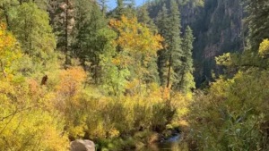 West Clear Creek 