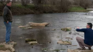 scientists looking at a river
