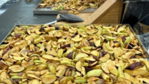 Red and green apple slices after the freeze-drying process
