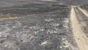 aerial view of post-fire landscape