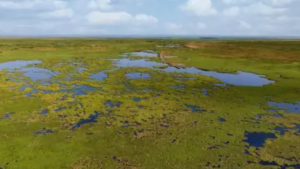 aerial image of a marsh