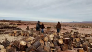 logs being cut into firewood