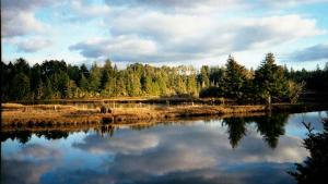 wetland