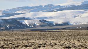 grassland with snowy mountains