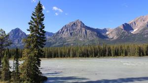 river with mountains and trees