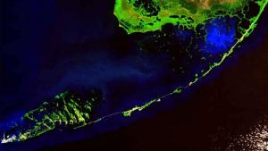 satellite image of the Florida Keys
