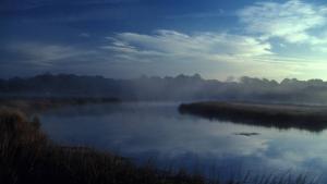 misty estuary