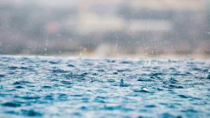 closeup-photography-of-water-drops-on-body-of-water
