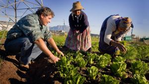 people crouched by garden