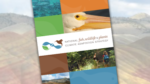 USFWS National Fish, Wildlife, and Plants Climate Adaptation Strategy