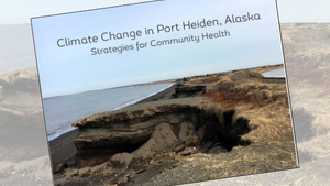 port heiden plan cover