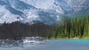 Snow capped mountain