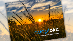 Adapt OKC plan screen capture