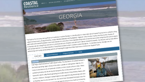 Coastal-Resilience-Georgia cover