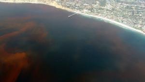 Aerial view of red tide off La Jolla, California