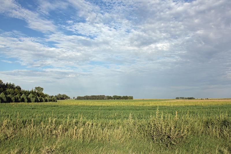 The Paulsen Farm