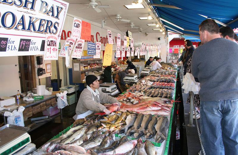 People shopping and selling fresh fish