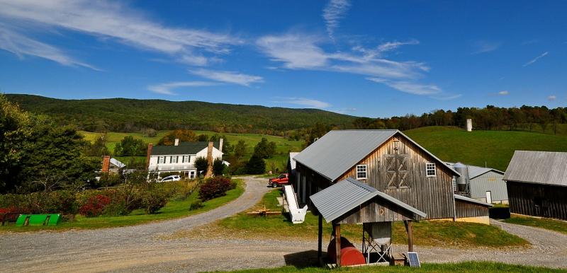 A white wooden house and a brown-sided barn sit in a green pasture.  A dirt one-lane road runs between them. 