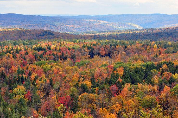 Fall foliage in Vermont. 