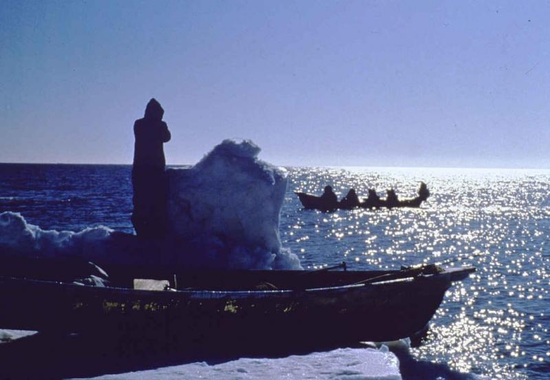 Whale hunting in. alaska