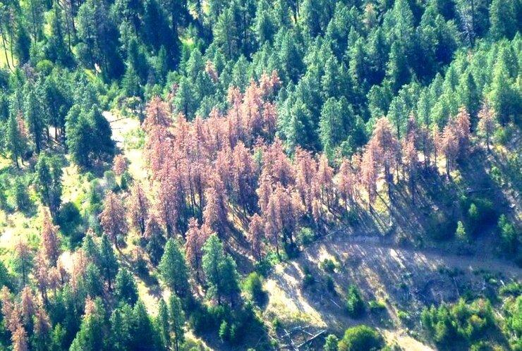 Drought in the PNW